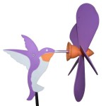 colibri flor 500  