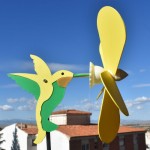 colibri flor 500  