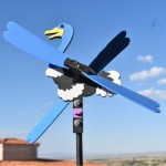 avestruz 500  